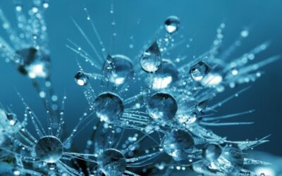 Deionized Water Benefits Businesses!