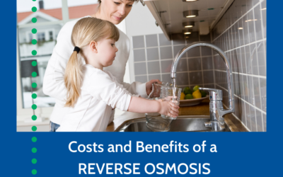 Costs and Benefits of a Reverse Osmosis System