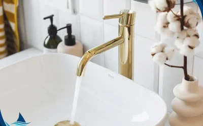 Portable Exchange Tanks: The Ultimate Solution to SoCal Water Softener Bans
